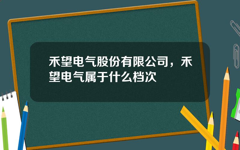 禾望电气股份有限公司，禾望电气属于什么档次