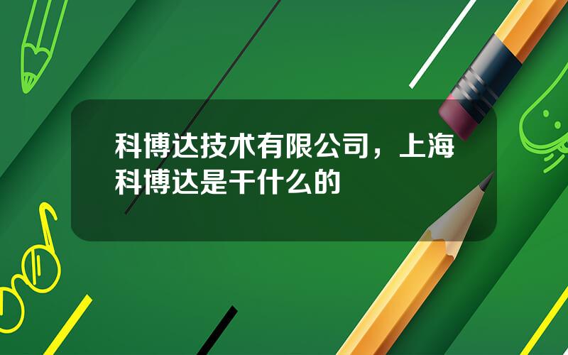 科博达技术有限公司，上海科博达是干什么的