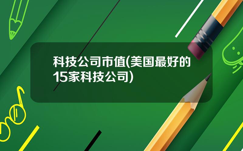 科技公司市值(美国最好的15家科技公司)