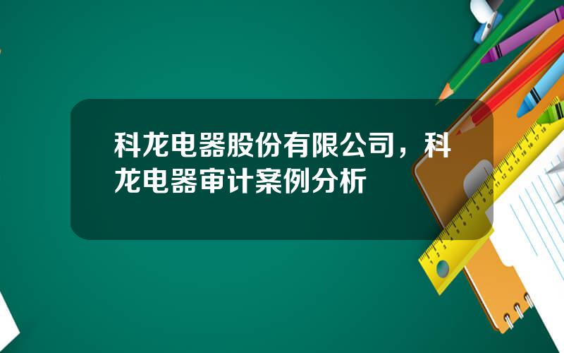 科龙电器股份有限公司，科龙电器审计案例分析