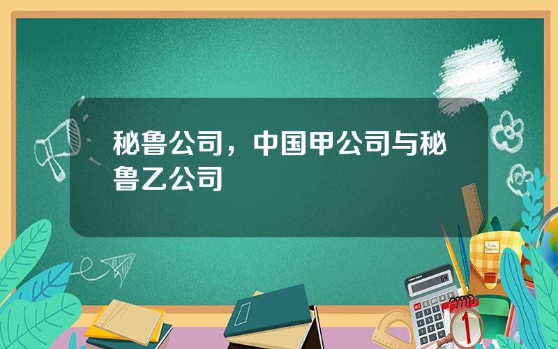 秘鲁公司，中国甲公司与秘鲁乙公司