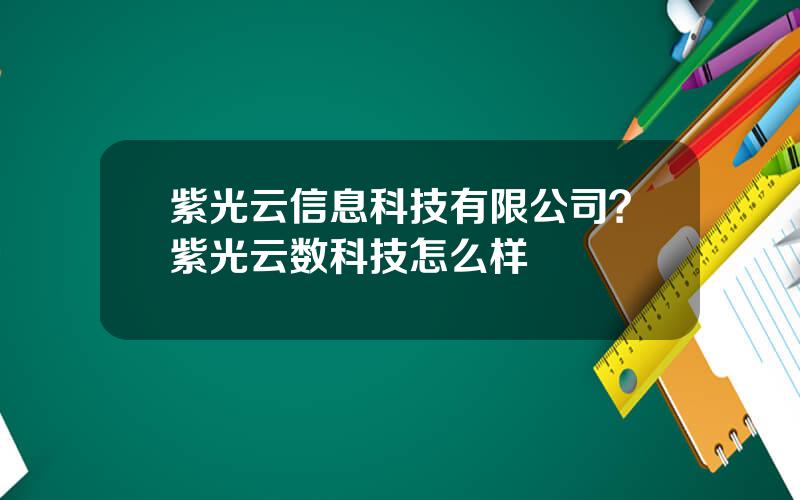 紫光云信息科技有限公司？紫光云数科技怎么样