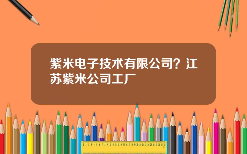 紫米电子技术有限公司？江苏紫米公司工厂