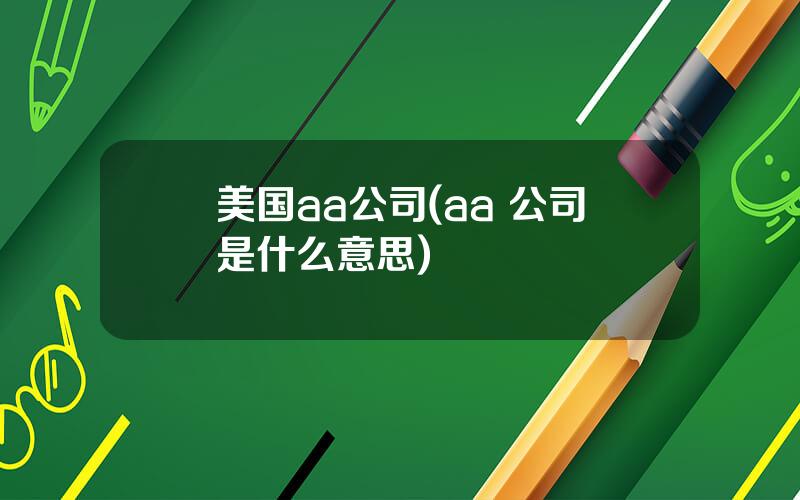 美国aa公司(aa+公司是什么意思)