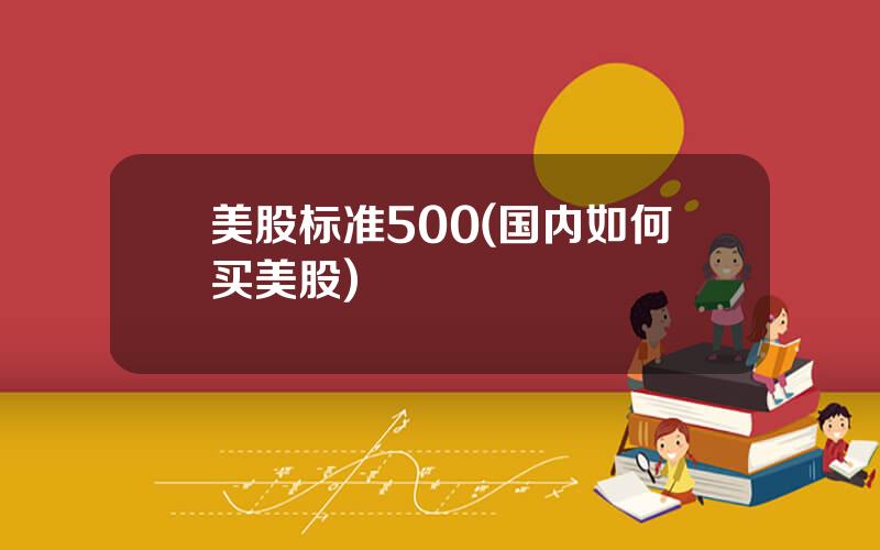 美股标准500(国内如何买美股)