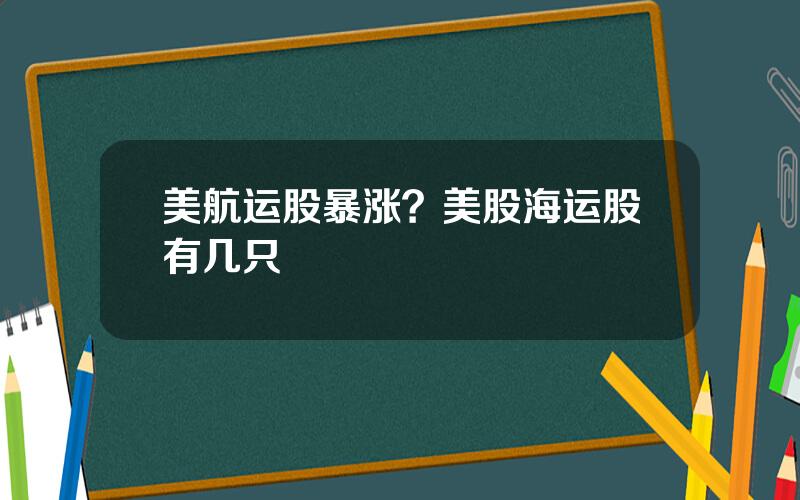 美航运股暴涨？美股海运股有几只