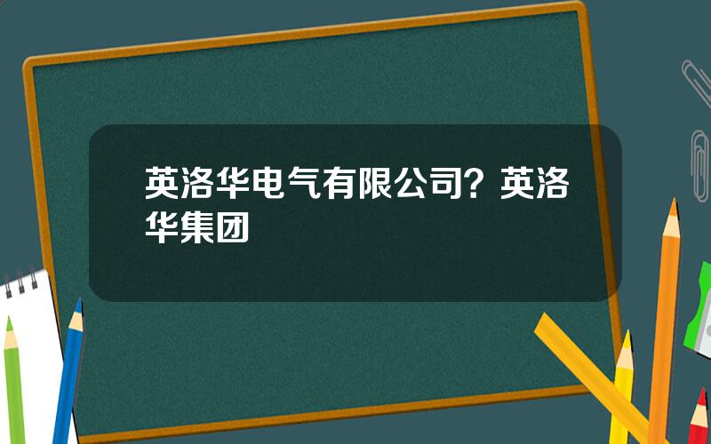 英洛华电气有限公司？英洛华集团