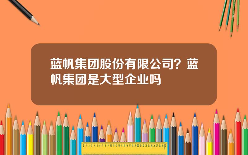 蓝帆集团股份有限公司？蓝帆集团是大型企业吗