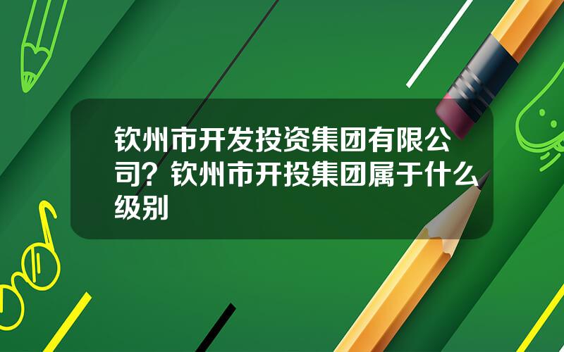 钦州市开发投资集团有限公司？钦州市开投集团属于什么级别