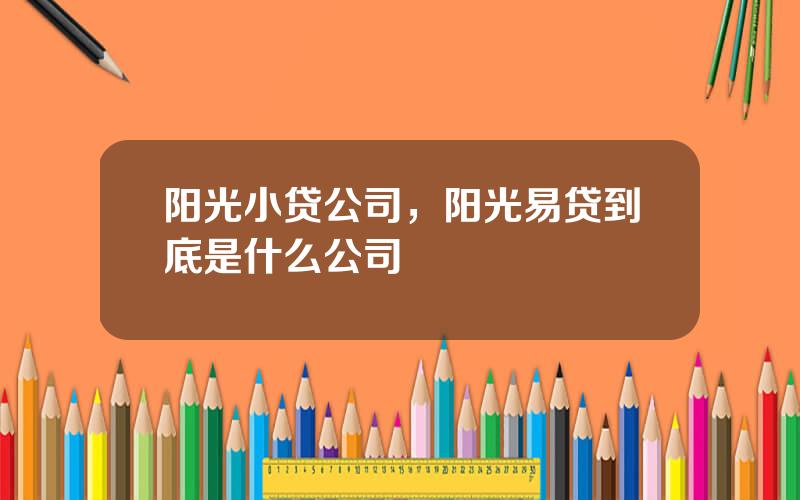 阳光小贷公司，阳光易贷到底是什么公司